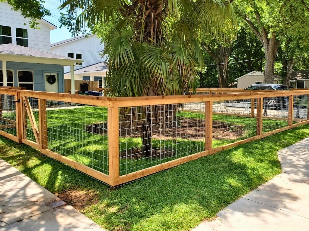 sunny yard with a palm tree is enclosed by a bull-panel fence, adjacent to a house with blue siding, creating a serene suburban setting.